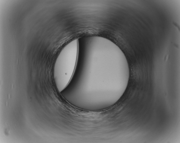 X0000101670032200807101100