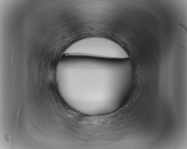X0000101670033200807101100