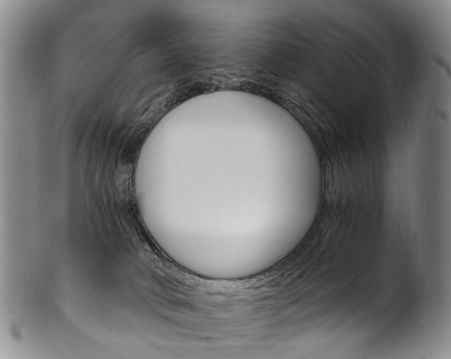 X0000101670034200807101100
