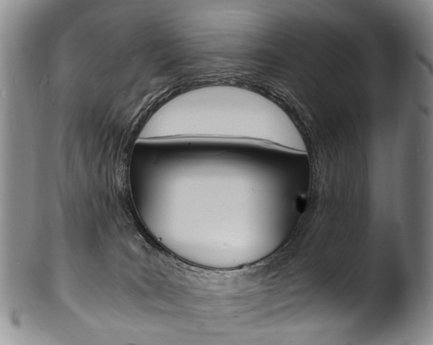 X0000101670035200807101100
