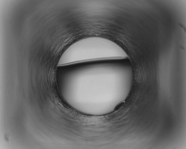 X0000101670036200807101100