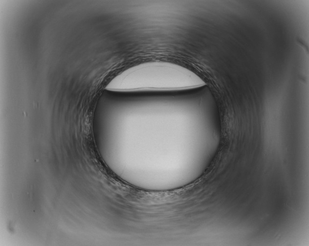 X0000101670037200807101100