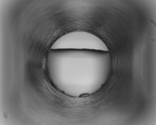 X0000101670038200807101100