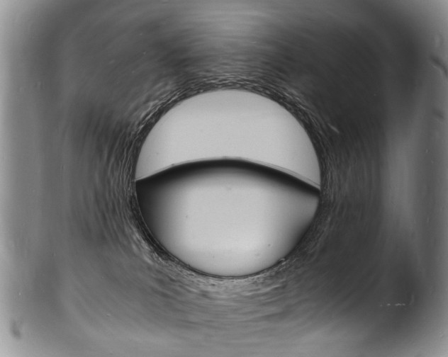 X0000101670039200807101059