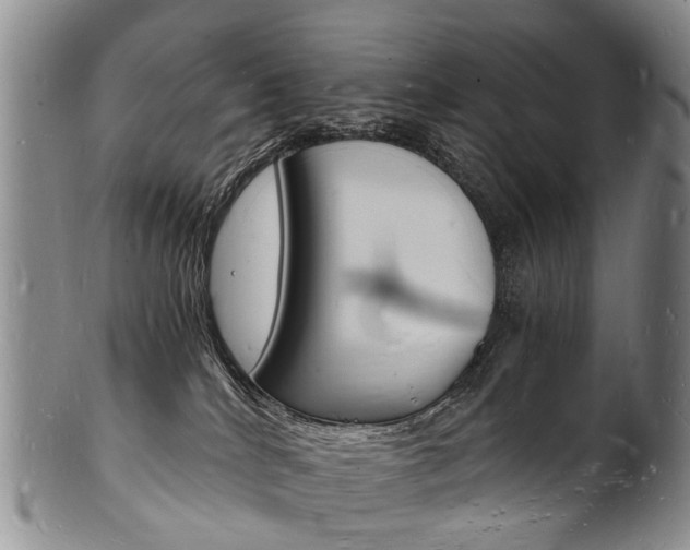 X0000101670040200807101059