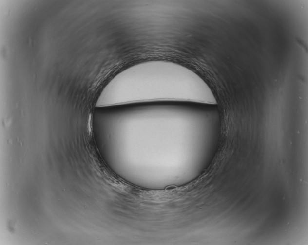 X0000101670041200807101059