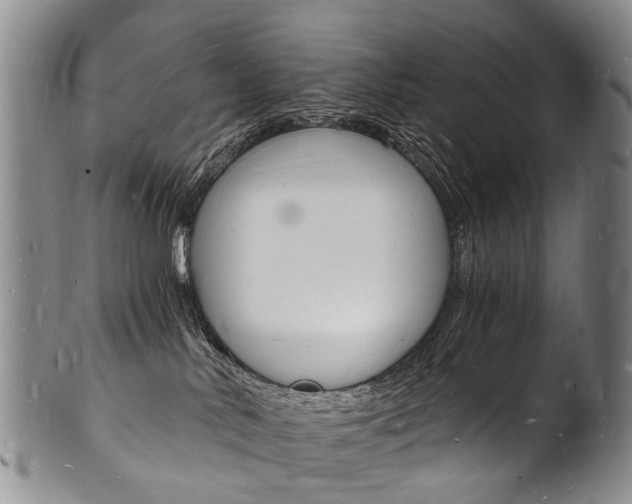 X0000101670042200807101059