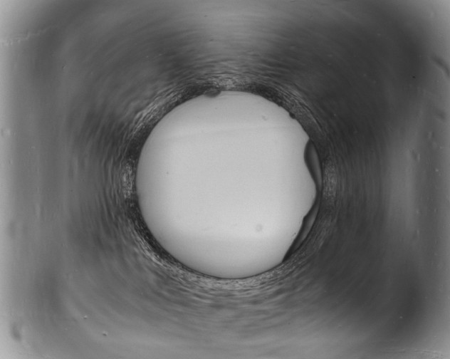 X0000101670043200807101059