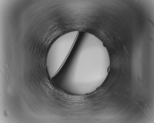 X0000101670044200807101059