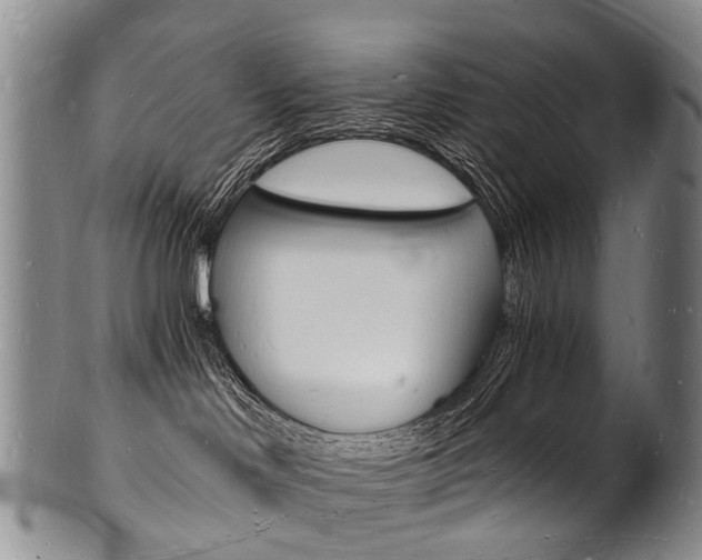 X0000101670046200807101059