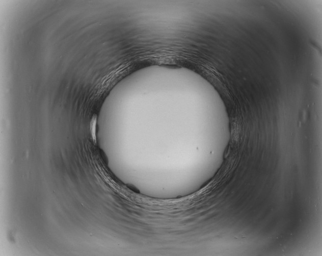 X0000101670047200807101059
