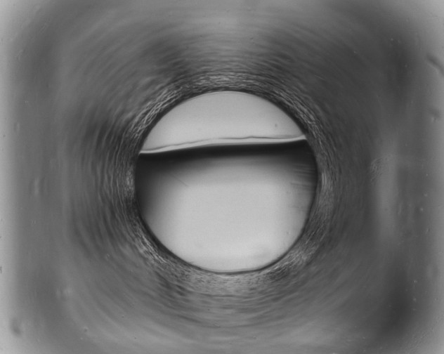 X0000101670048200807101059