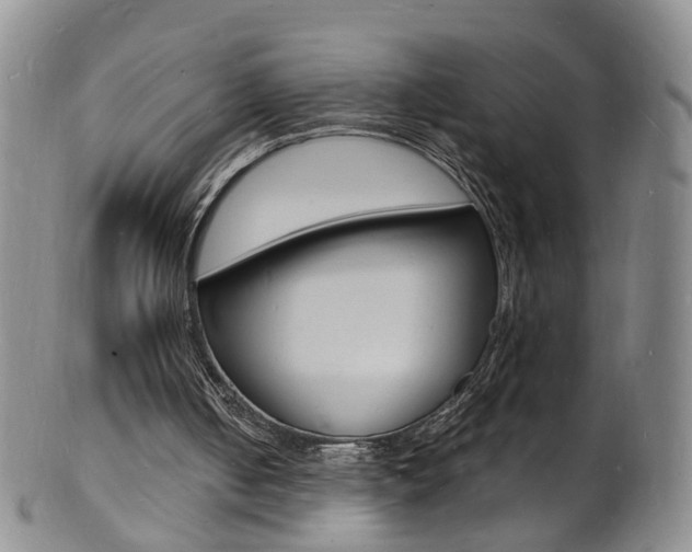 X0000101670050200807101059