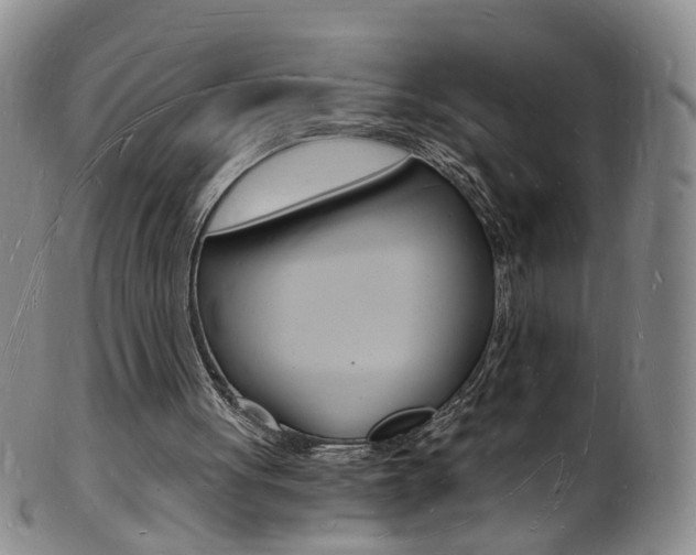 X0000101670051200807101059