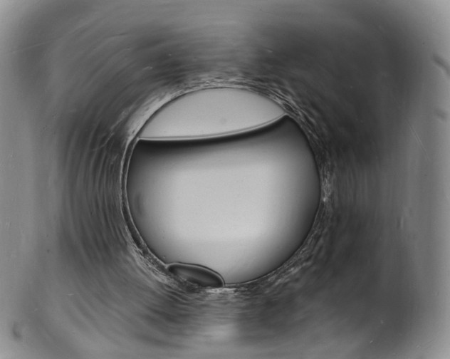 X0000101670052200807101059
