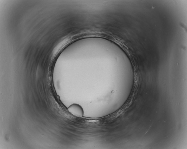 X0000101670053200807101059