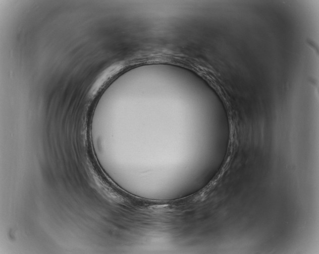 X0000101670054200807101059