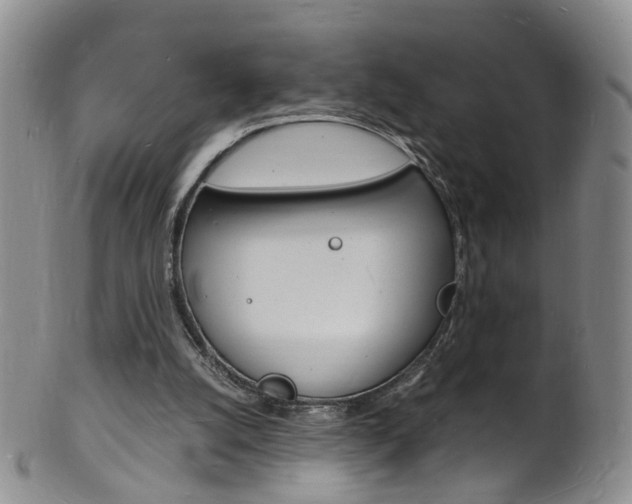 X0000101670056200807101059