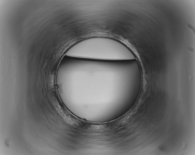 X0000101670057200807101059