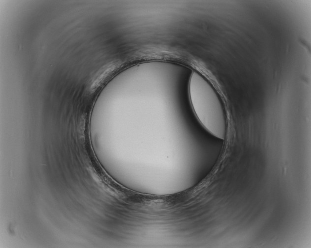 X0000101670058200807101059