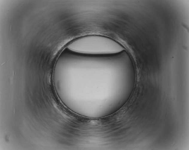 X0000101670060200807101059