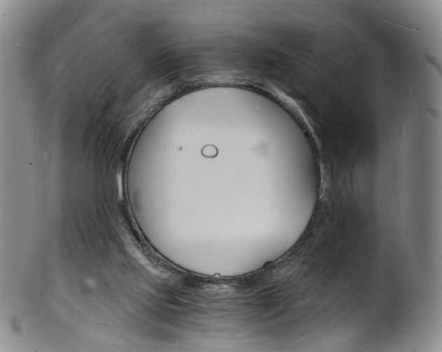 X0000101670061200807101059