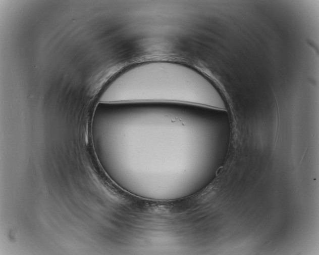 X0000101670062200807101059