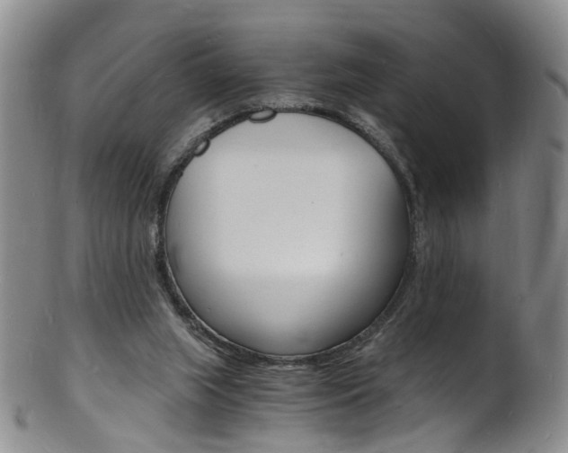 X0000101670063200807101059