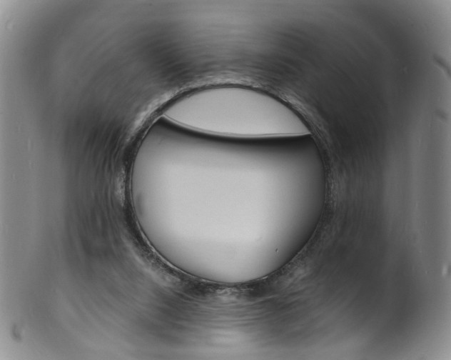 X0000101670064200807101059