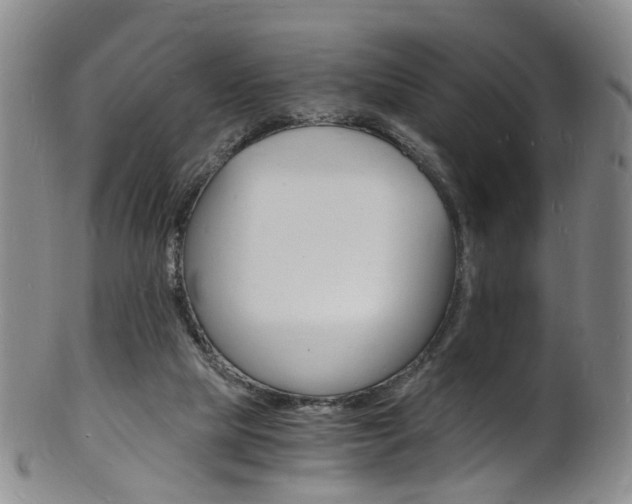 X0000101670065200807101059