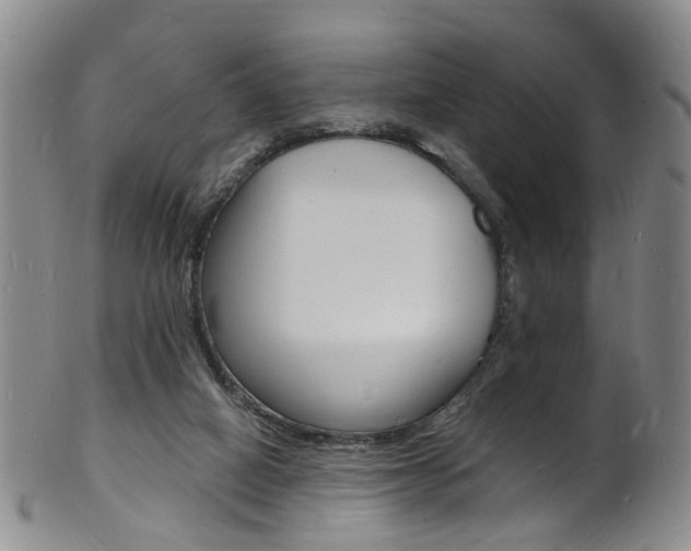 X0000101670066200807101059