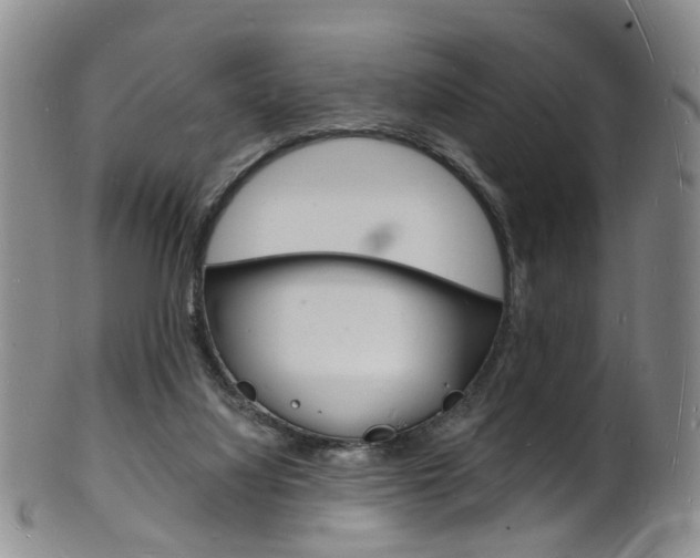 X0000101670068200807101059