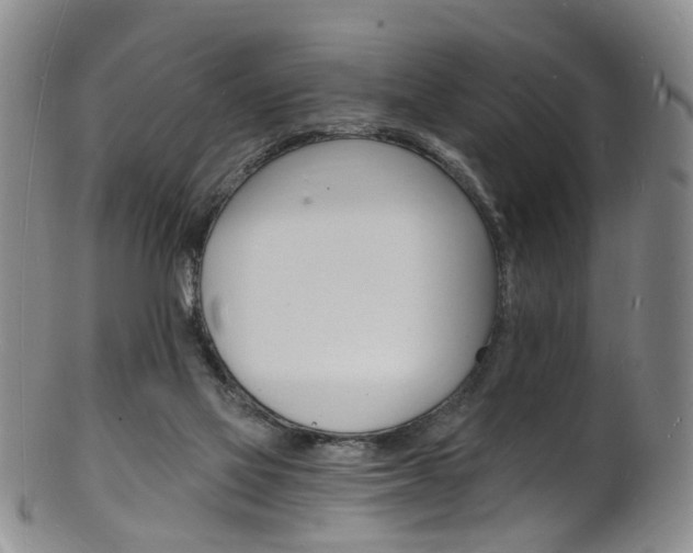 X0000101670069200807101059