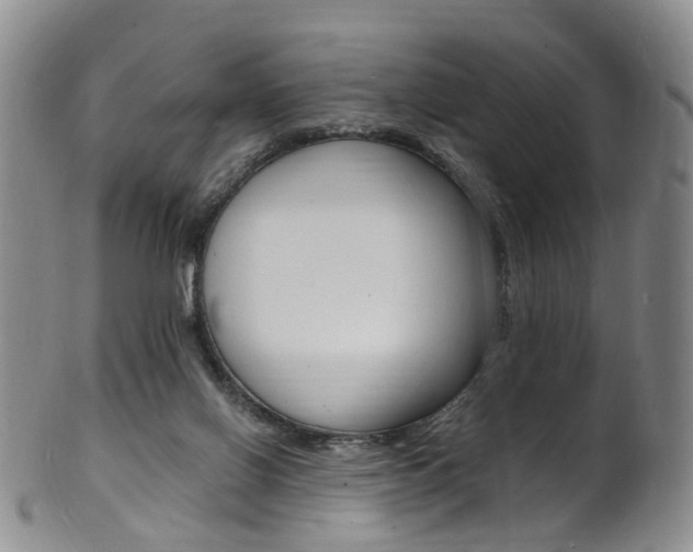 X0000101670070200807101059