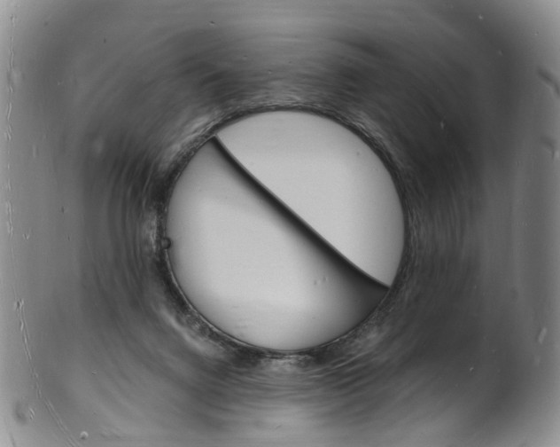 X0000101670072200807101059