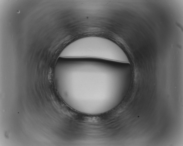 X0000101670073200807101059