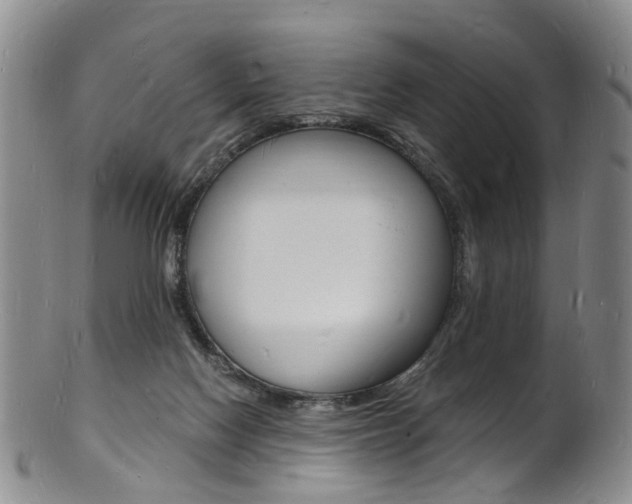 X0000101670074200807101059
