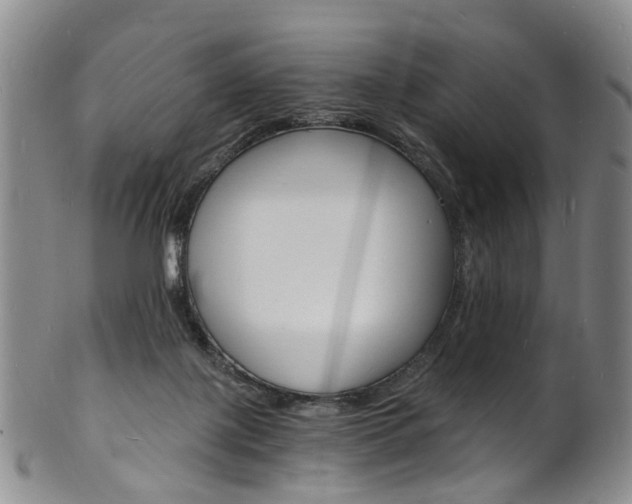 X0000101670075200807101059