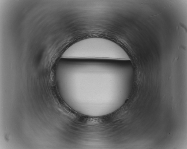 X0000101670077200807101059