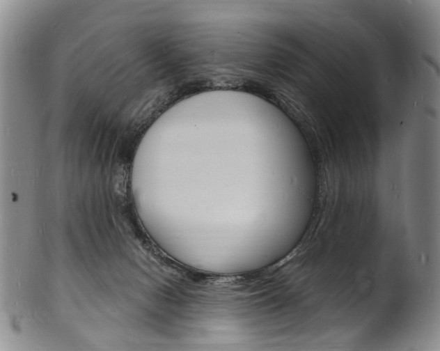 X0000101670078200807101059