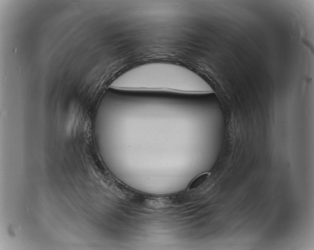 X0000101670079200807101059