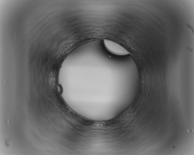 X0000101670080200807101059
