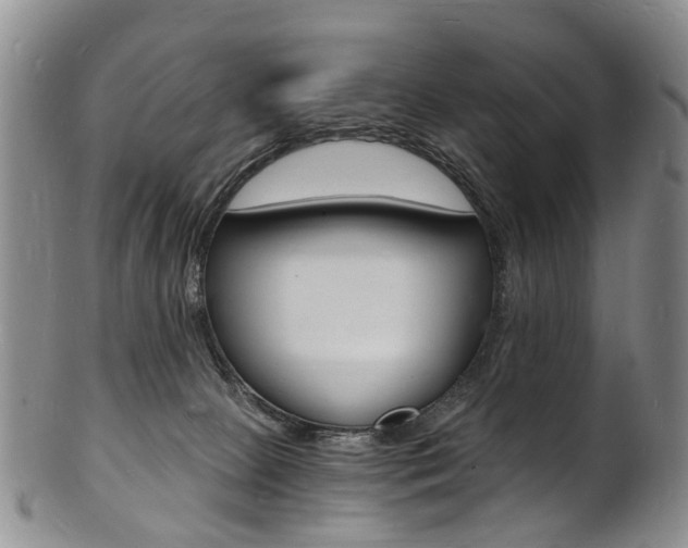 X0000101670081200807101059