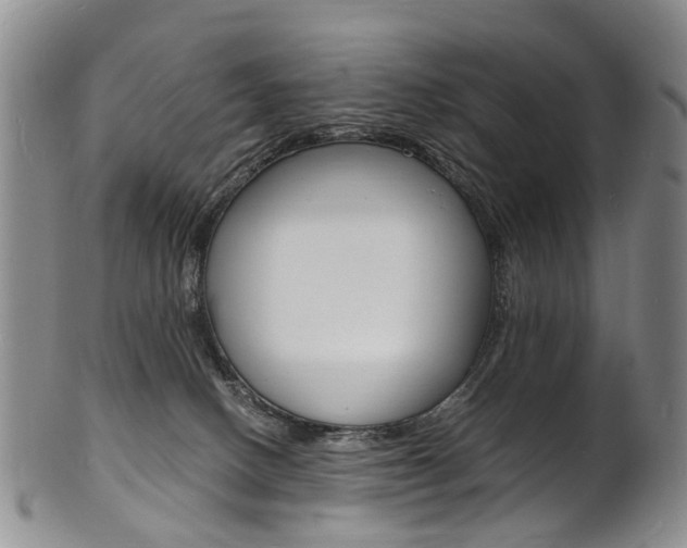 X0000101670082200807101059