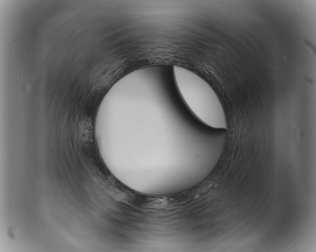 X0000101670083200807101059