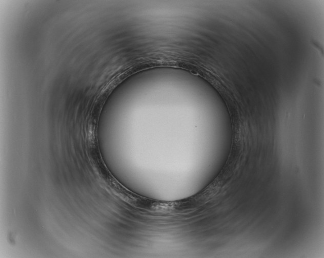 X0000101670084200807101059
