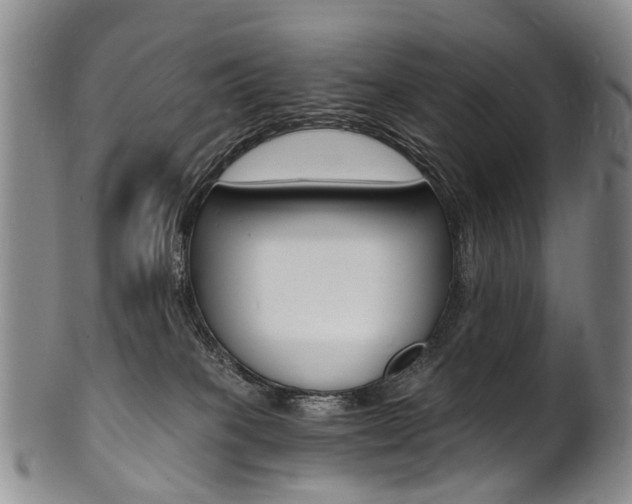 X0000101670085200807101059