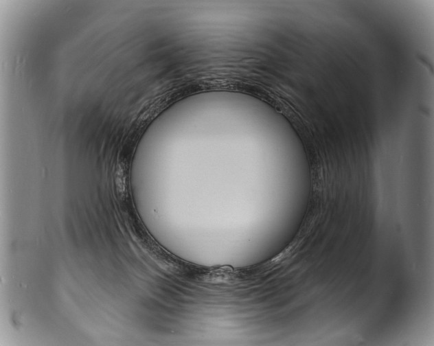 X0000101670086200807101059