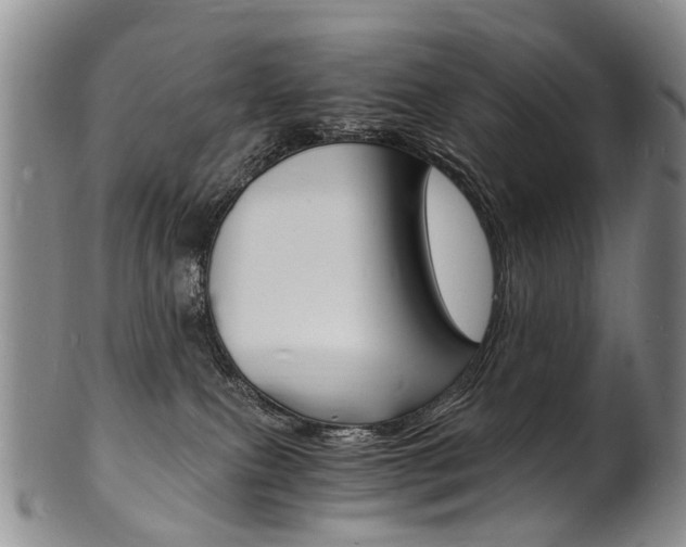 X0000101670087200807101059