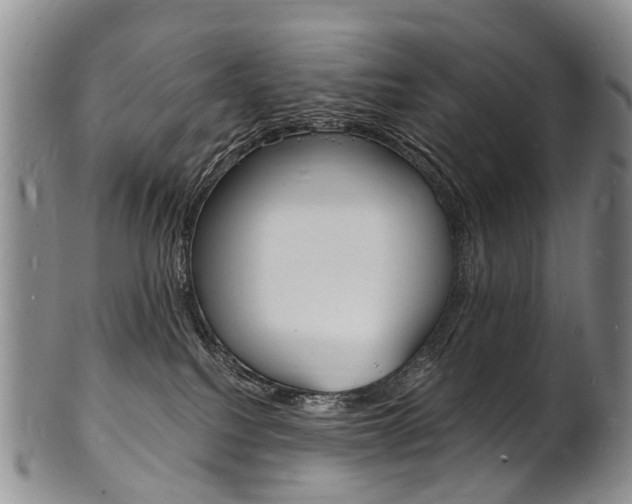 X0000101670088200807101059